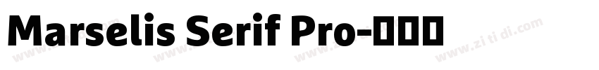 Marselis Serif Pro字体转换